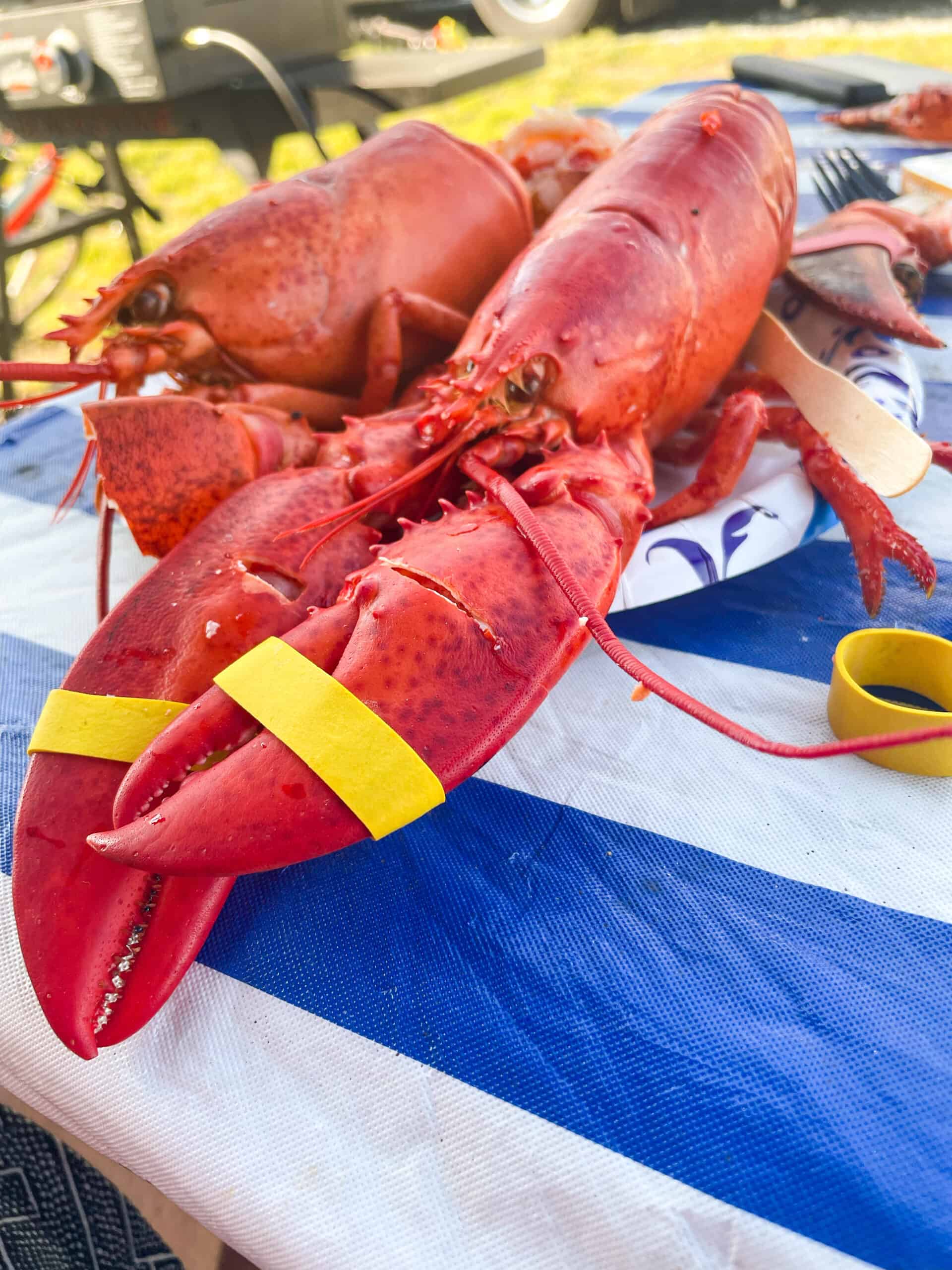 Benefits of traveling with family eating lobster together in Maine