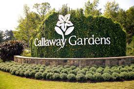 Discover Pine Mountain: Top Things To Do at Callaway Gardens